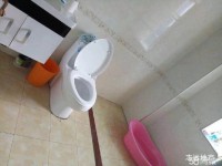 其它图