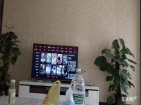 其它图