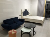恒生壹号公寓 一房 城北新区 恒生壹号广场