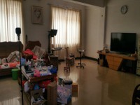 东兴花园 153方复式 东兴花园