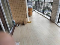 其它图
