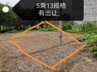 河西地皮占地5乘13 前24后8米路有出 河西地皮