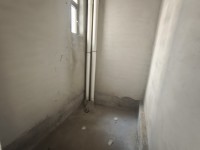 东湖南向实用4房 户型靓 电梯靓楼层 全 金鼎花园