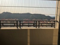 其它图