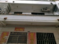 市中心私宅4.6ⅹ10占地，三层，前7米 市中心私宅