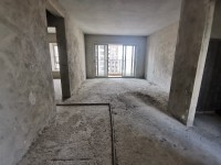 河西网红楼盘，81房两房，仅售29.8万 绵登广场
