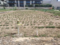 占地5.3×15，前路18米，后8米，仅 城北地皮