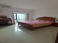送全屋家私电器，送小车位 东湖天下