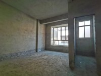 市中心自建房占地5×12 建4层8 前后 市中心私宅