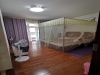 其它图