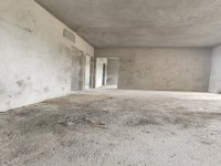 低调的奢华，毛坯，可卖精装71.8万 尚品兴华中心