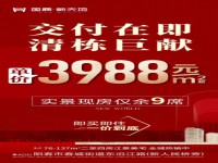 3988买国鼎 新天地