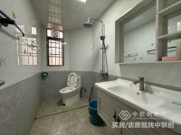 其它图