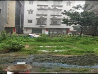 河西地皮，占地8×9，前后8米路，三面见 河西地皮