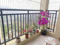 豪华装修2室2厅1卫1阳台，拎包入住，采 尚品名居