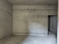 河西私宅可做生意4.9x10.8 近市场 河西私宅