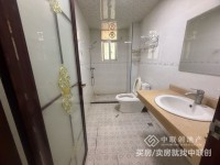 其它图