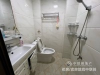 其它图