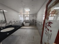 其它图