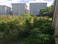 城北地皮 占地8.8x9三层前后7米路成 城北地皮
