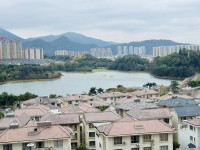 其它图