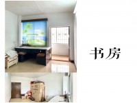 其它图