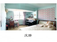 其它图