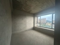 其它图