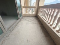 其它图