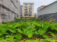 有天有地有车位 河西地皮