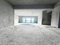 东湖天下全新毛坯三房中高楼层东南向0首付 东湖天下