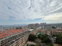 河西电梯4房房型正气,采光佳南向可卖装修 瑞福花园