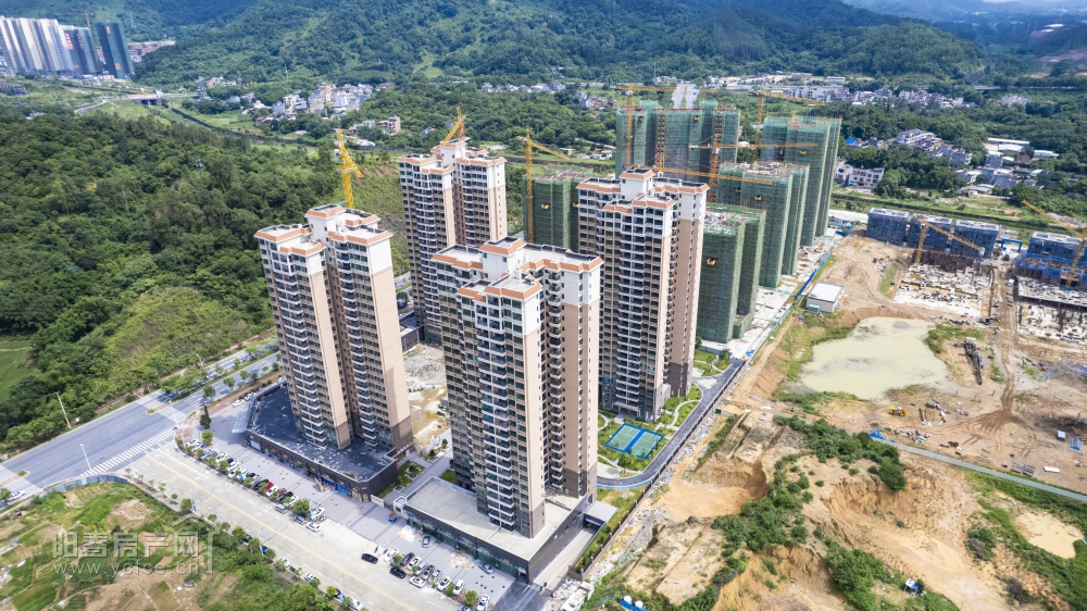 DJI_0319.JPG