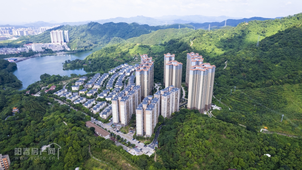 DJI_0431.JPG