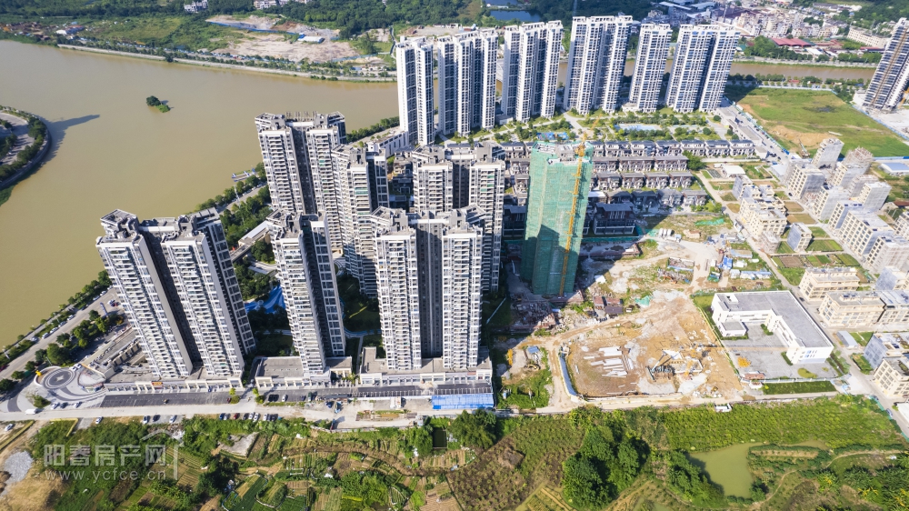DJI_0446.JPG