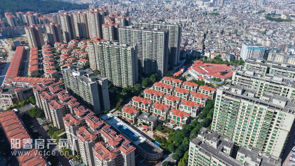 DJI_20241218133805_0214_D.JPG