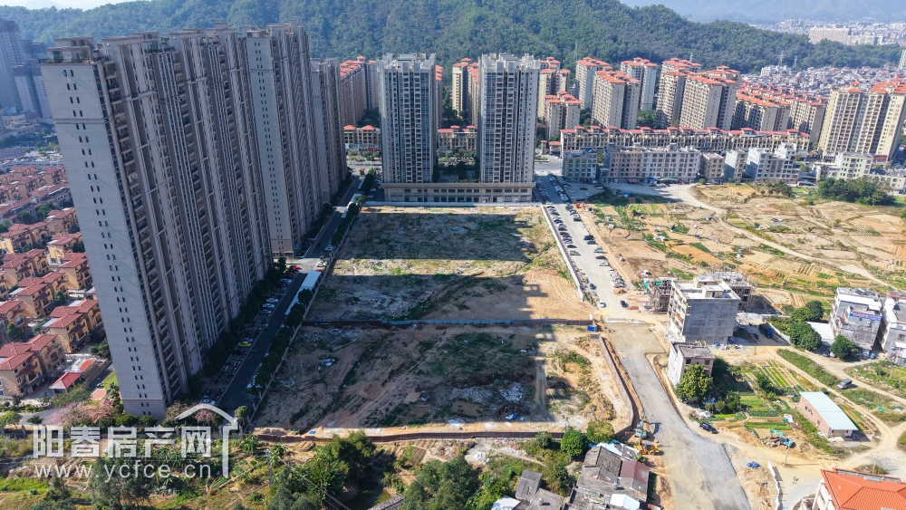 DJI_20241218133928_0216_D.JPG