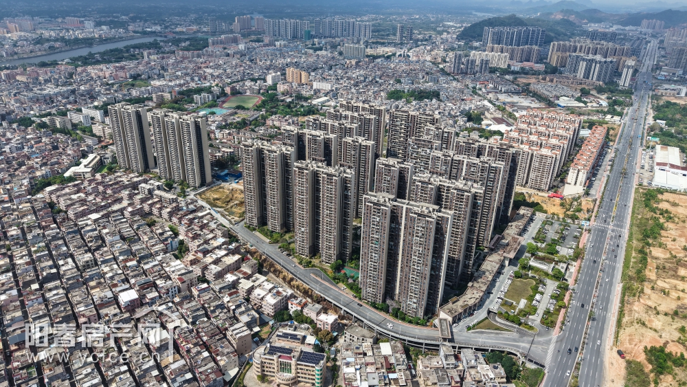 1743246018992183.jpg DJI_20250314143032_0020_D_F.JPG
