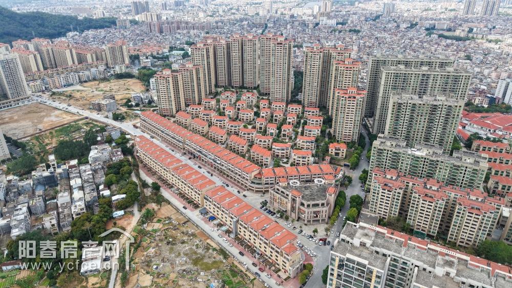 1743246109136871.jpg DJI_20250314145207_0035_D_F.JPG