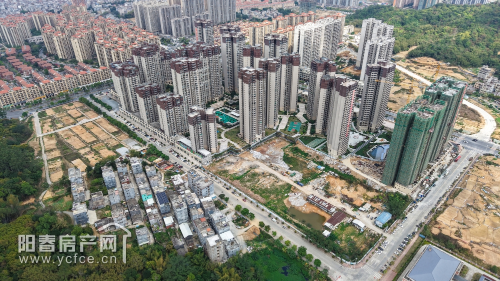 1743246139276479.jpg DJI_20250314150758_0046_D_F.JPG
