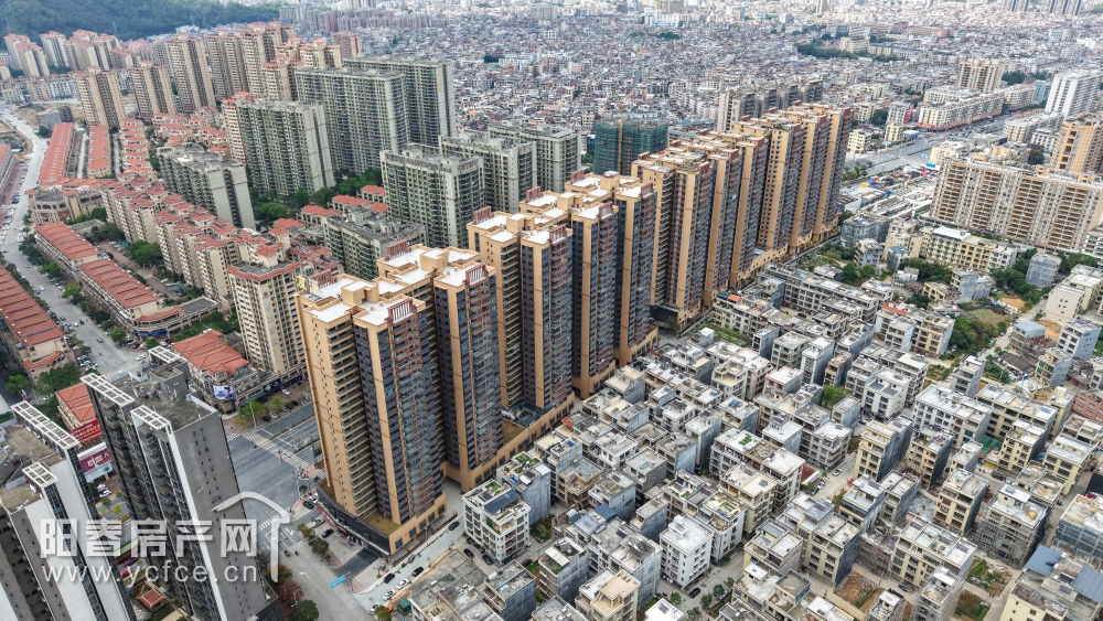 1743246256302470.jpg DJI_20250314145049_0031_D_F.JPG