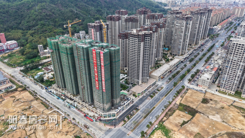 1743246348549214.jpg DJI_20250314150640_0043_D_F.JPG