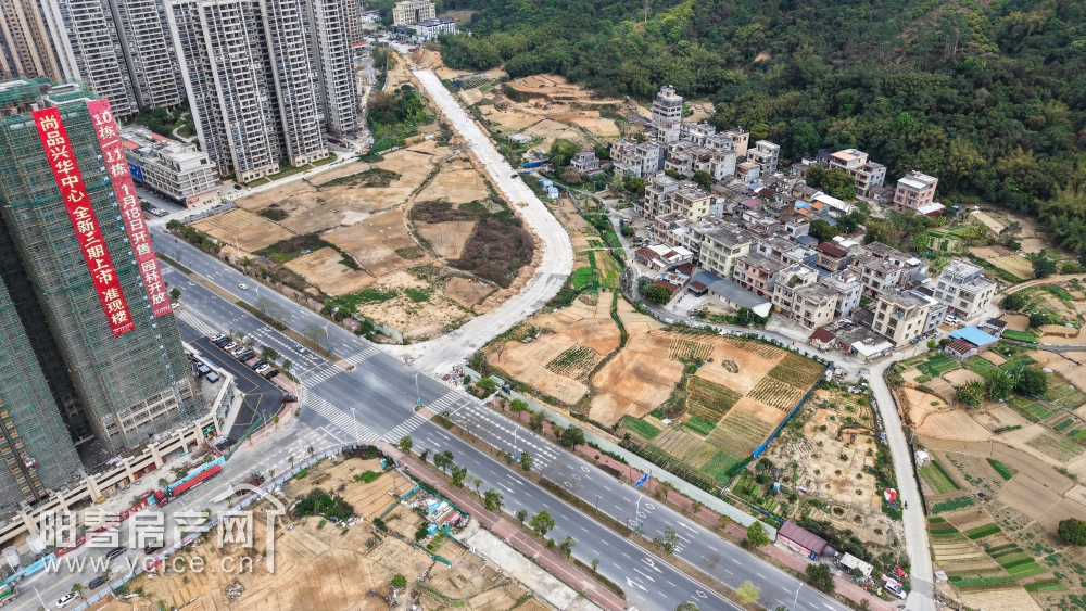1743246362208058.jpg DJI_20250314150613_0042_D_F.JPG