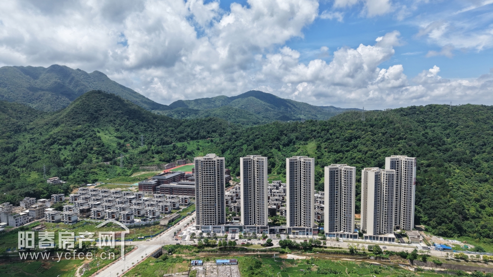 1751167638875653.jpg DJI_20250628113810_0013_D_F.JPG